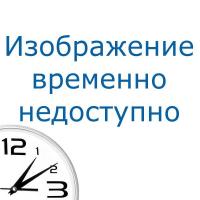 Bort Измельчитель пищевых отходов ALLIGATOR PLUS CONTROL {Мощность 1200 Вт; Объем камеры 1300 мл; Мощность л.с. 1,5 Размер 300х150 мм; 6,7 кг; гарантия 2 г} [93417982]