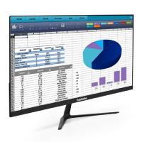 LCD ExeGate 21.5" ER2207 {VA 1920x1080 100hz 5ms 16:9 250cd 3000:1 178/178 D-Sub HDMI VESA} [EX300341RUS]