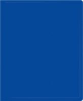 Папка на 2-х кольцах Silwerhof SE-0413/2RBLU A4 пластик 0.5мм кор.18мм синий